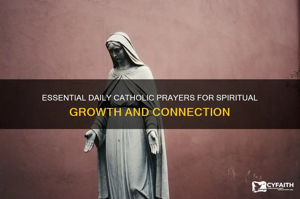 what catholic prayers should be said daily