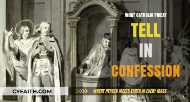Confession Insights: What Catholic Priests Share in the Sacrament