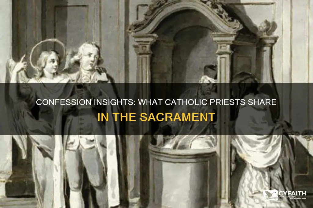 what catholic prieat tell in confession