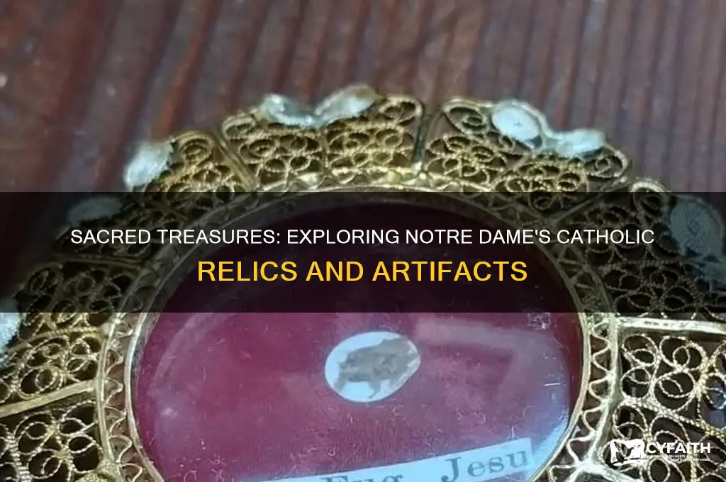 what catholic relics are in notre dame