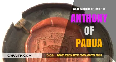 Discovering St. Anthony of Padua's Sacred Catholic Relics and Legacy