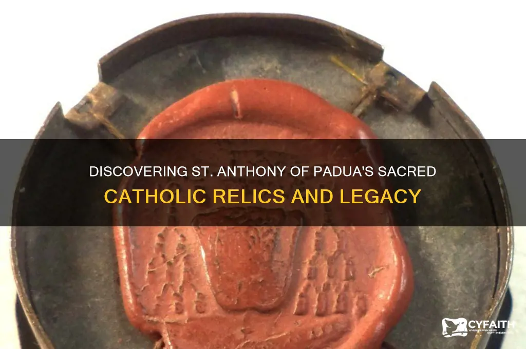 what catholic relics of st anthony of padua