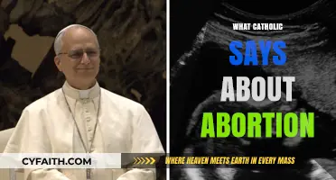 Catholic Teachings on Abortion: Understanding the Church's Stance and Beliefs