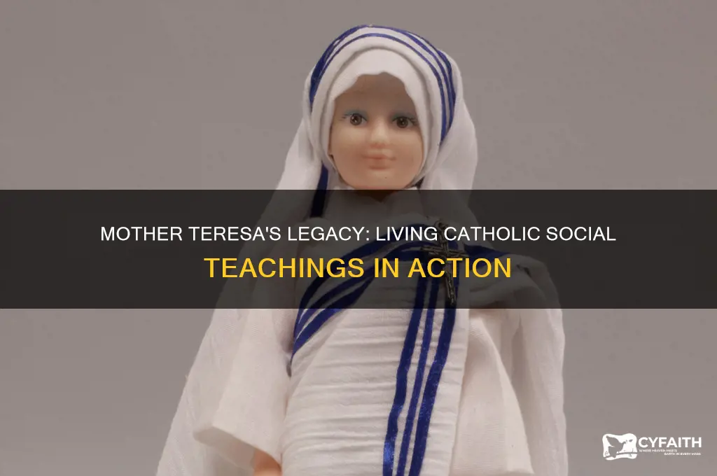 what catholic social teachings did mother teresa show