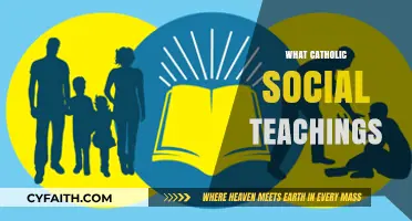 Understanding Catholic Social Teachings: Faith, Justice, and Human Dignity Explored