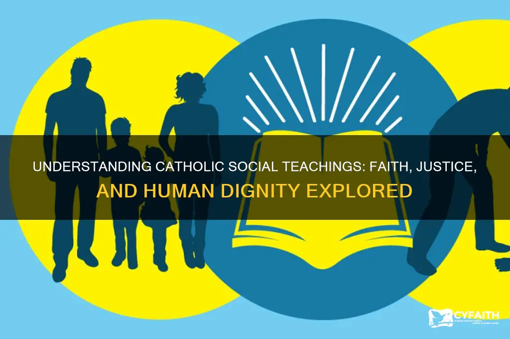 what catholic social teachings