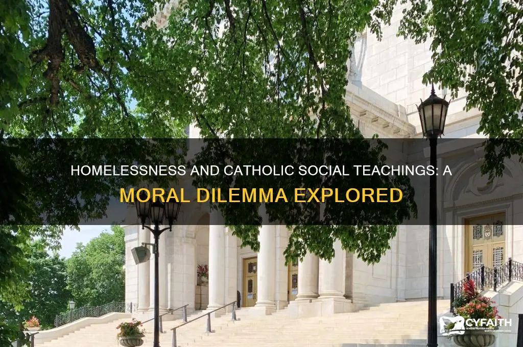 what catholic social themes does homelessness conflict with