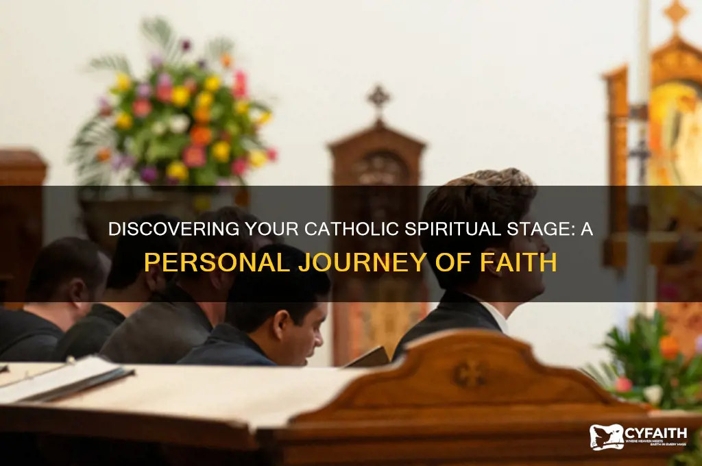 what catholic spiritual stage am i in
