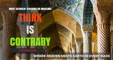 Catholic Teachings Muslims Often Find Contrary to Islamic Beliefs
