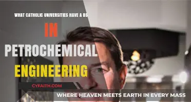 Catholic Universities Offering BS in Petrochemical Engineering Programs