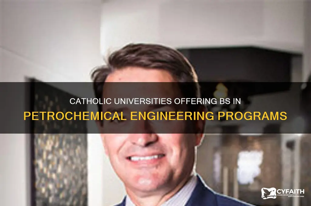 what catholic universities have a bs in petrochemical engineering