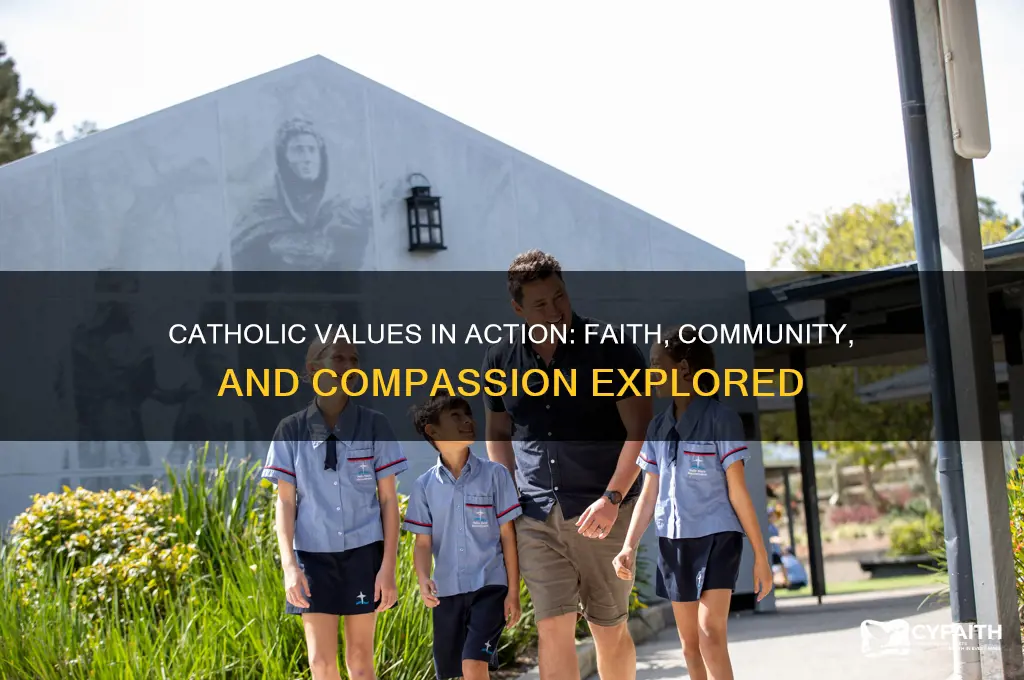 what catholic values are evident