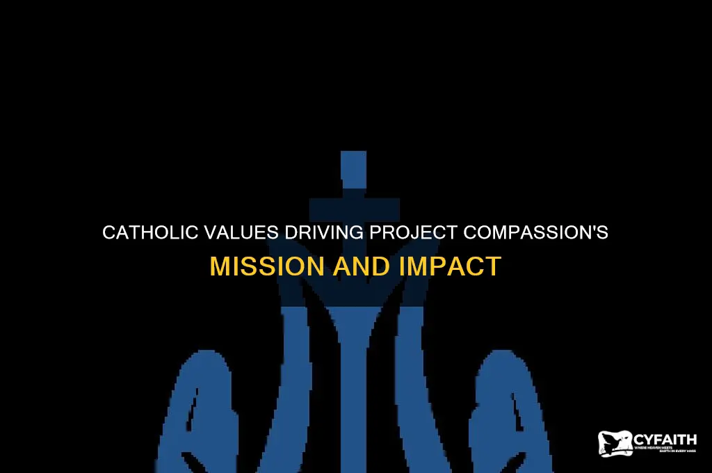 what catholic values underpin the purpose of project compassion