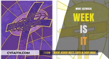 Discovering the Current Catholic Week: A Guide to Liturgical Seasons