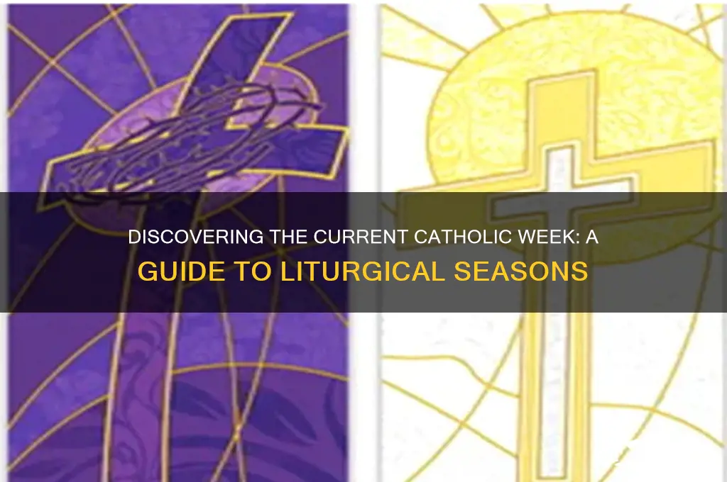 what catholic week is it