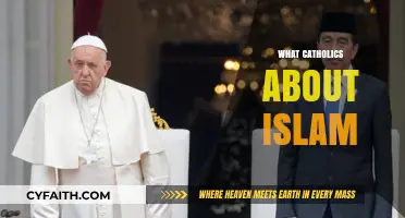 Catholic Perspectives on Islam: Understanding Faith, Dialogue, and Common Ground
