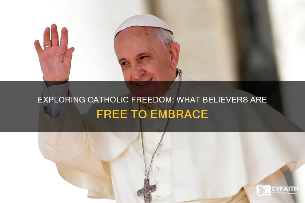 what catholics are free to belive