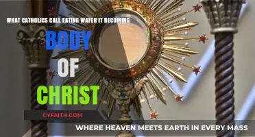 The Eucharist: Understanding Catholics' Belief in the Body of Christ