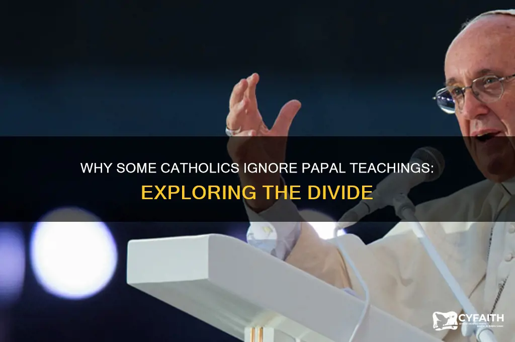 what catholic