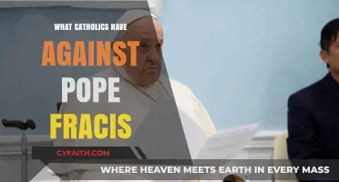 Understanding Catholic Criticisms of Pope Francis' Leadership and Reforms