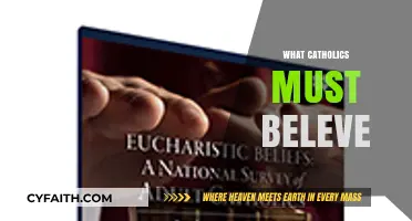 Essential Catholic Beliefs: Core Faith Principles Every Catholic Must Embrace