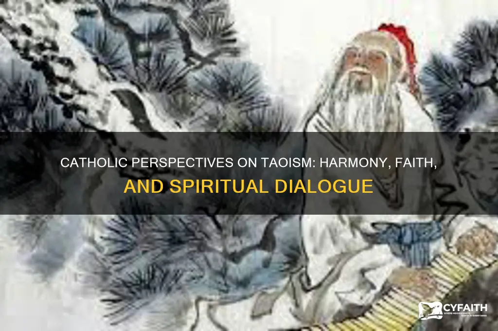 what catholics say about taoism