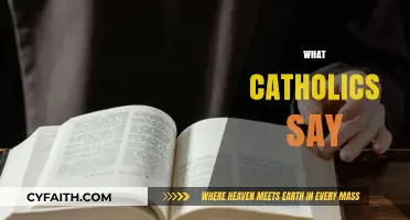 Understanding Catholic Teachings: What Catholics Say and Why It Matters