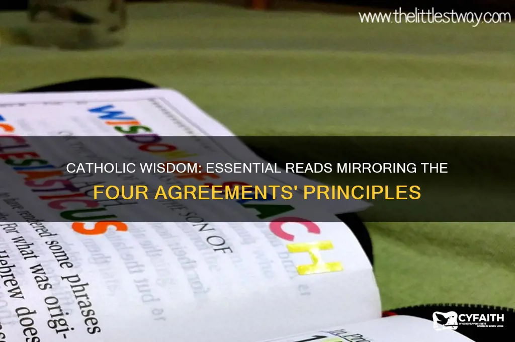 what catholics should read that compares to the four agreements