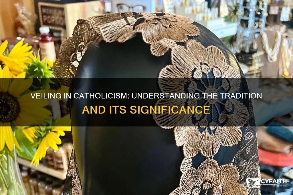 what catholics that veil