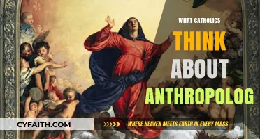 Catholic Perspectives on Anthropology: Exploring Faith, Humanity, and Creation