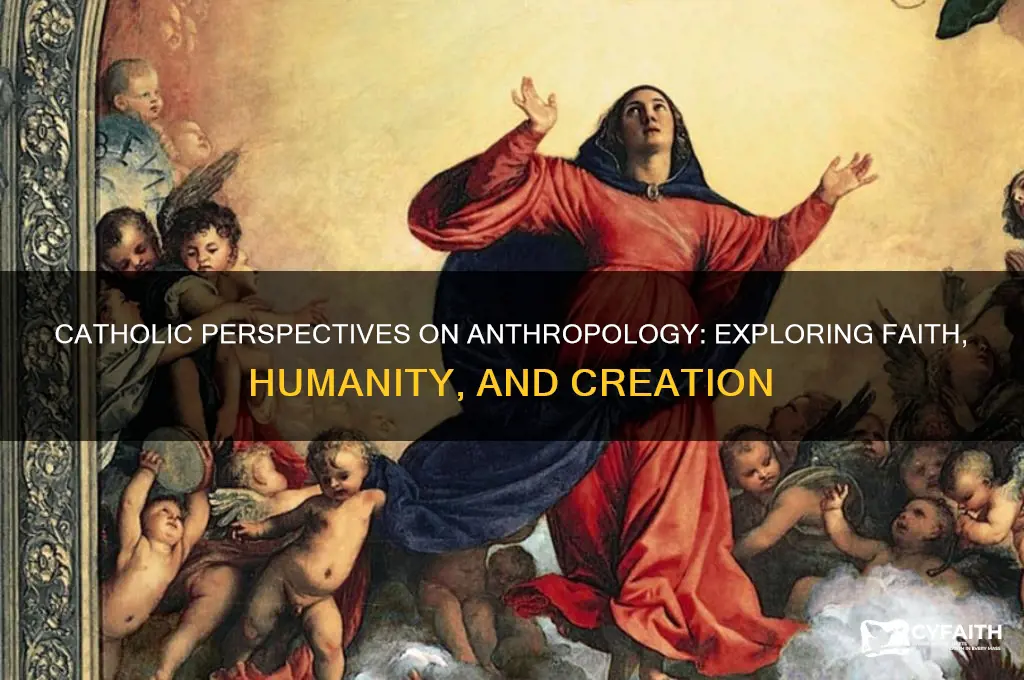 what catholics think about anthropology