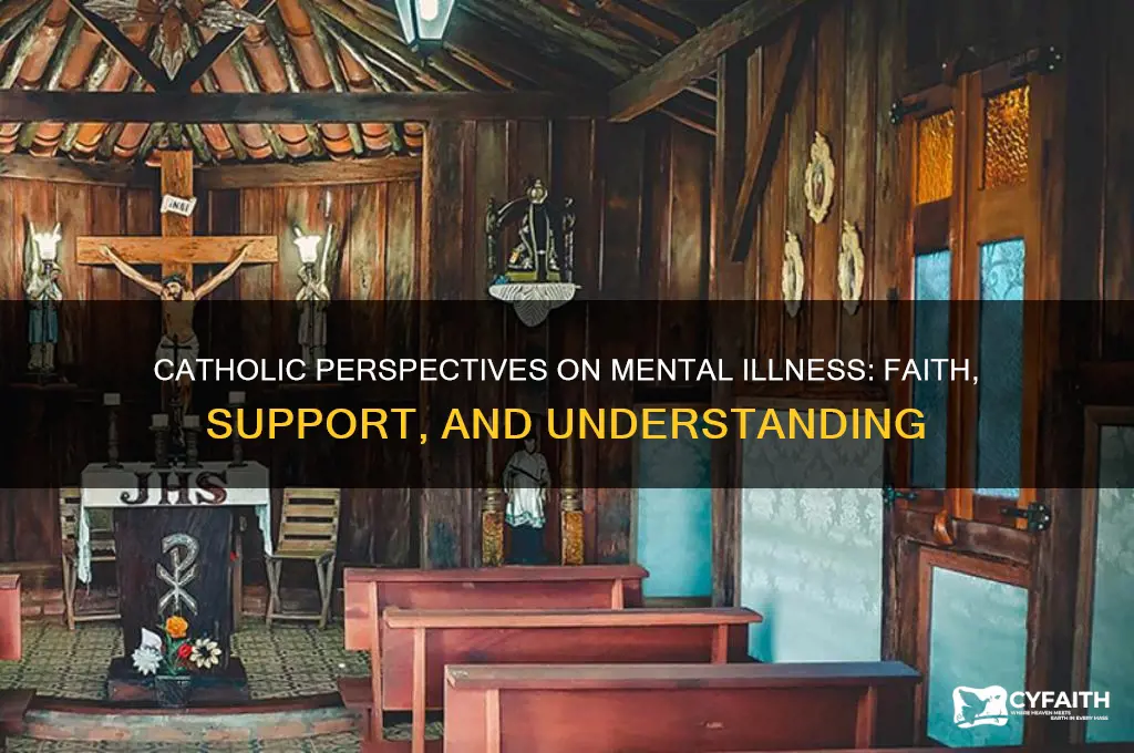 what catholics think about mental illness