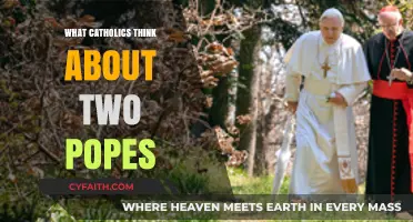 Two Popes, One Faith: Catholic Perspectives on Papal Coexistence