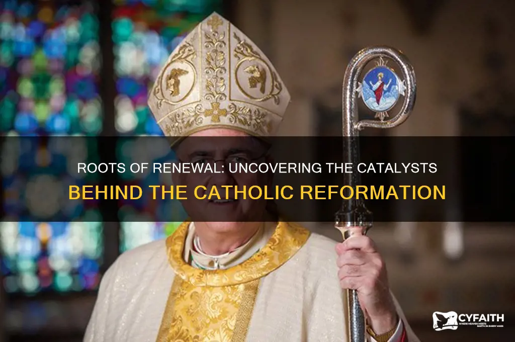 what caused catholic reformation