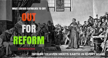 Corruption, Abuse, and Neglect: The Catalysts for Catholic Reform Demands