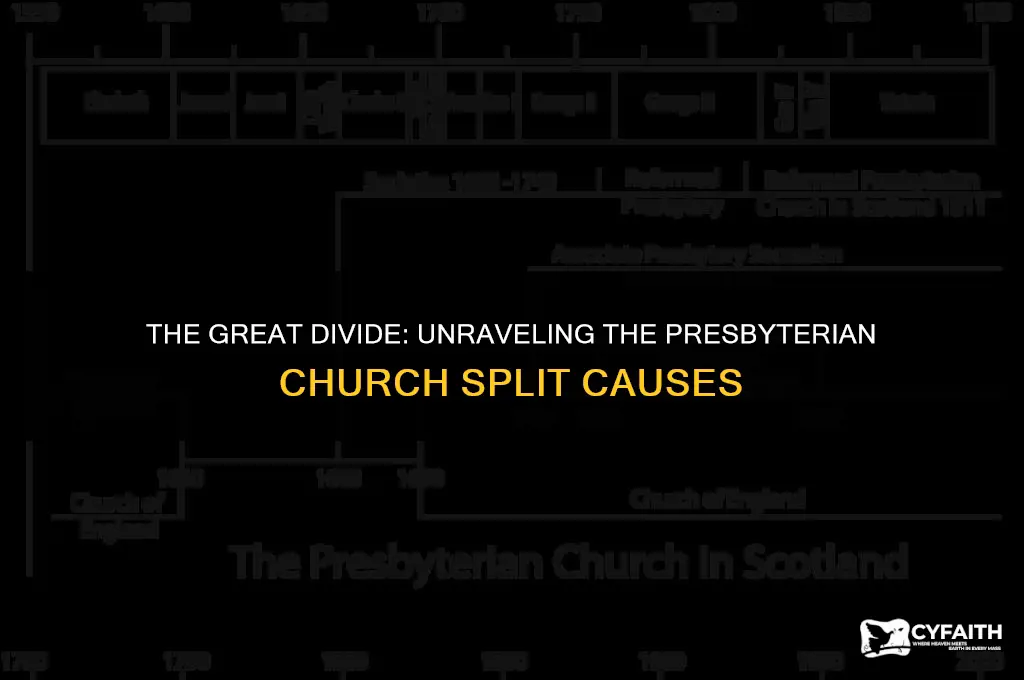 what caused the split in the presbyterian church