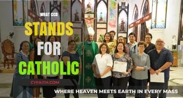 Understanding CCD: Catholic Catechesis and Doctrine Explained Simply