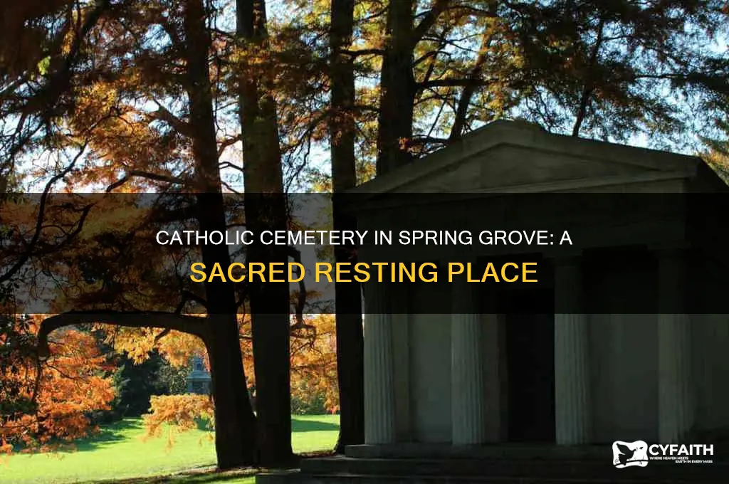 what cemetary in spring grove is catholic
