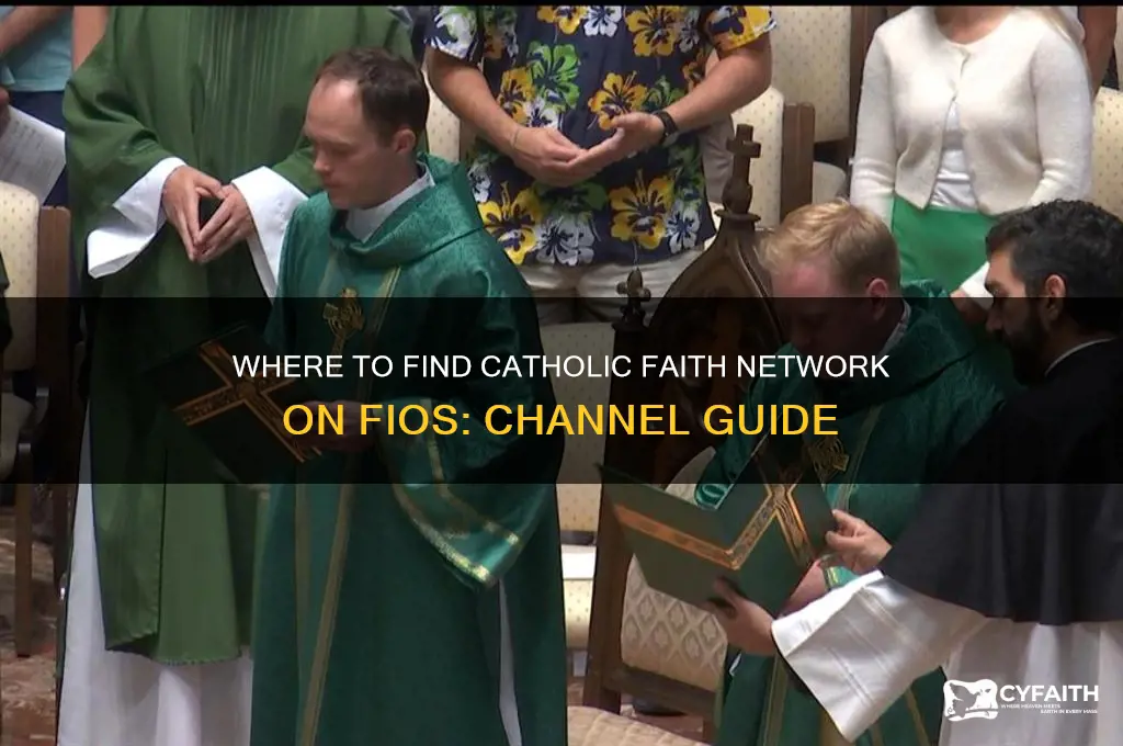 what channel is catholic faith network on fios