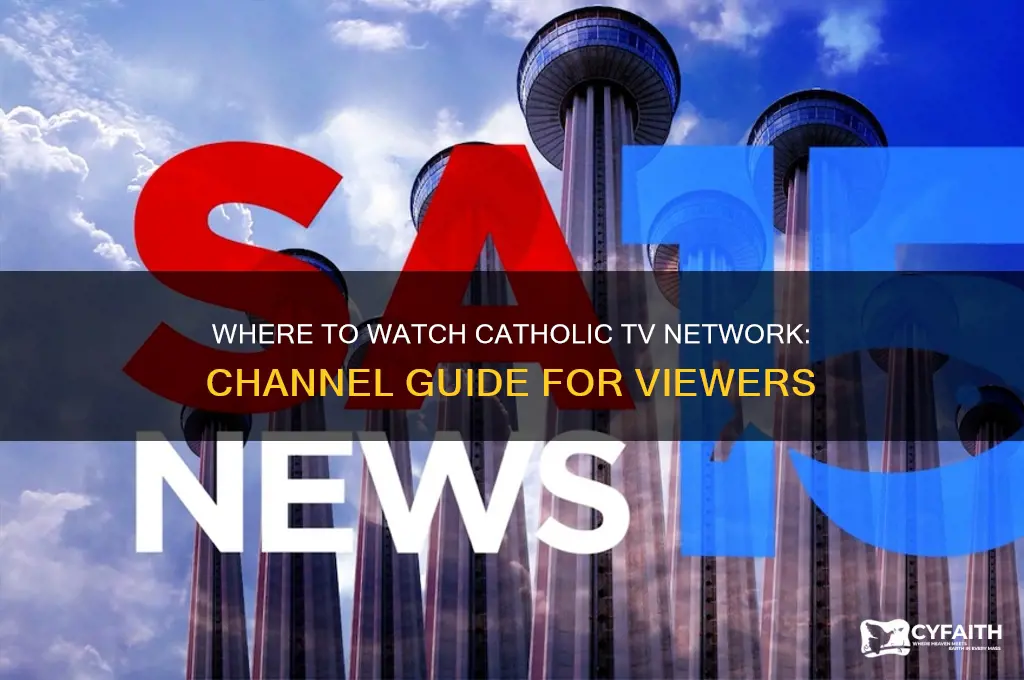 what channel is catholic tv network