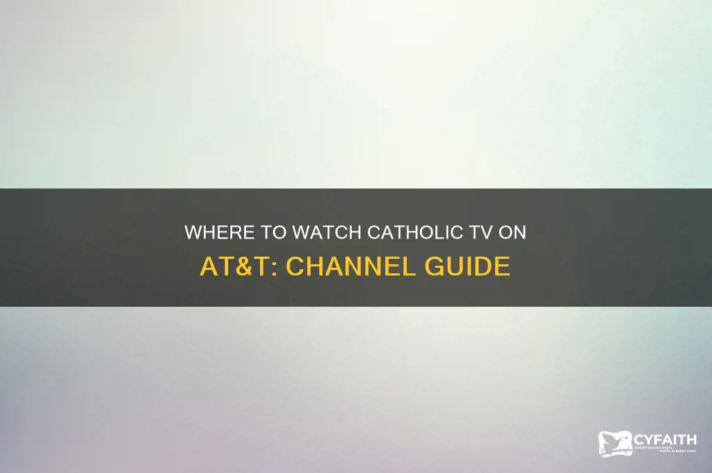 what channel is catholic tv on at&amp