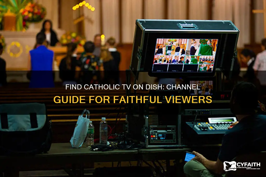 what channel is catholic tv on dish