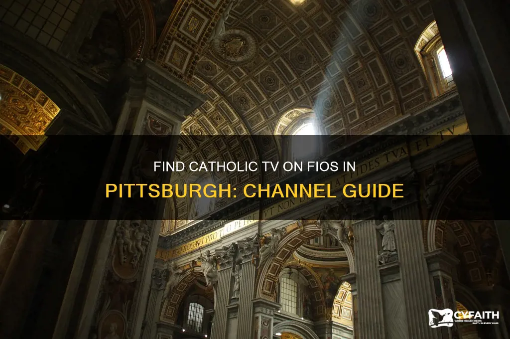what channel is catholic tv on fios in pittsburgh
