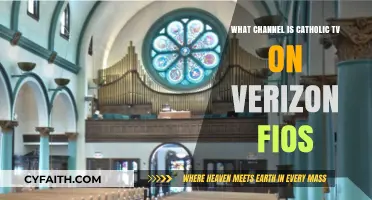 Find Catholic TV on Verizon Fios: Channel Guide for Viewers