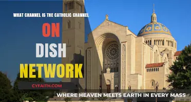 Find The Catholic Channel on Dish Network: A Quick Guide