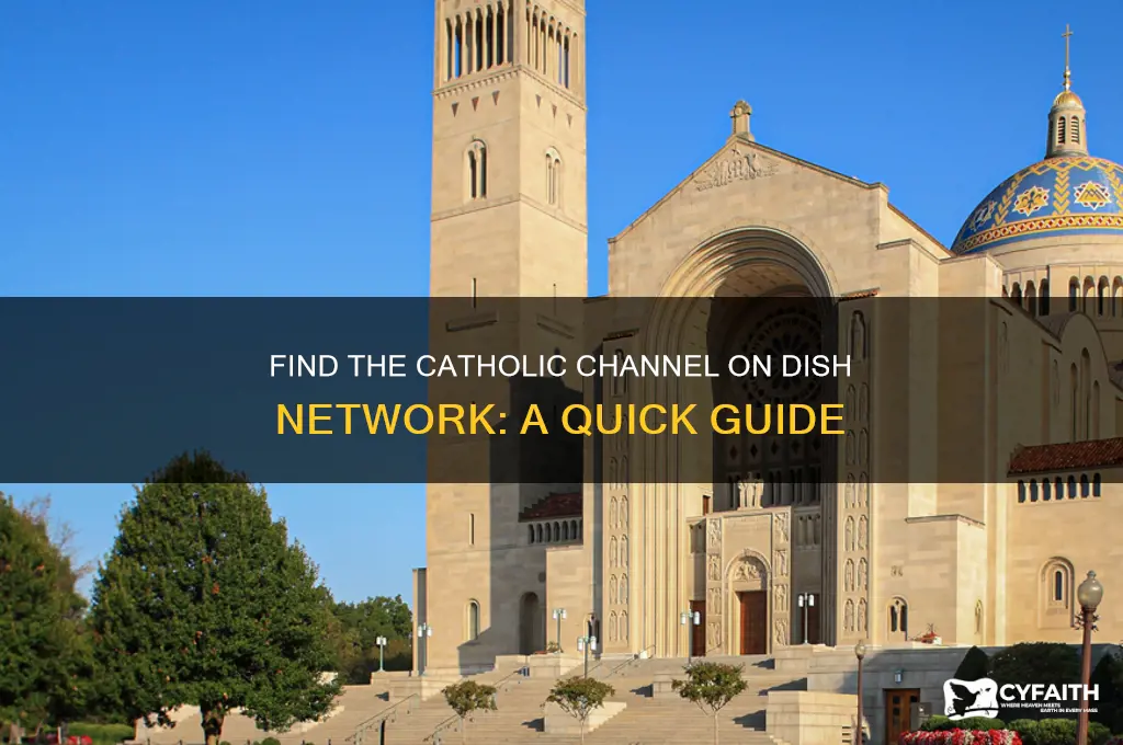 what channel is the catholic channel on dish network