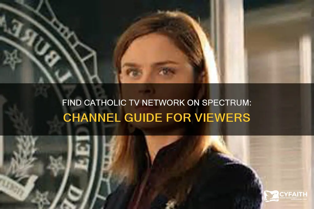 what channel on spectrum is the catholic tv network