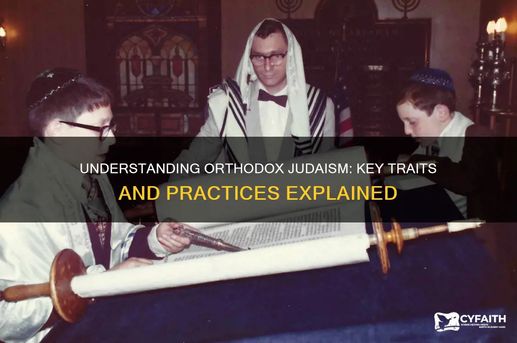 what characteristics does an orthodox jew have