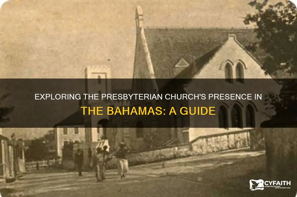 what church is considered presbyterian in the bahamas