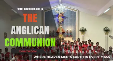 Exploring the Global Anglican Communion: Churches and Their Unity